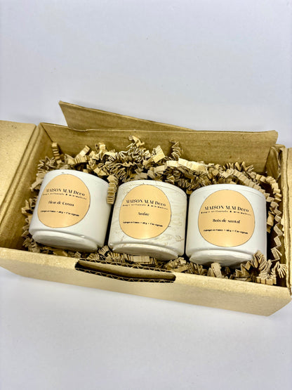 Pack Découverte – Ambre, Fleur de coton & Bois de santal